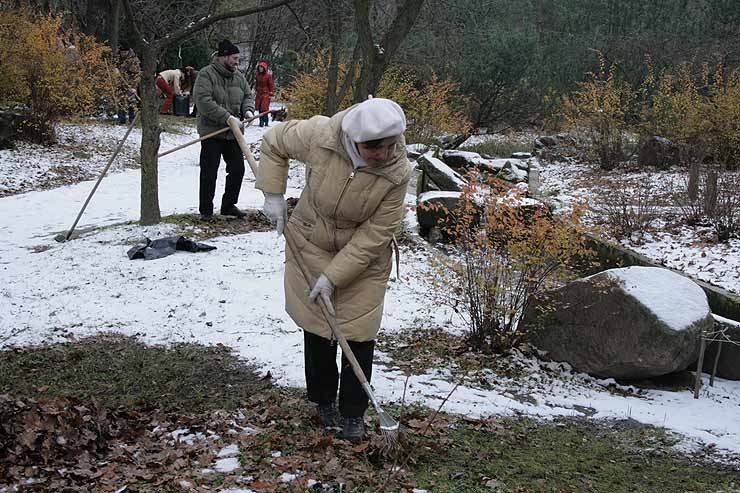 Помощь японскому саду