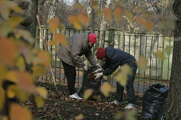 Помощь японскому саду