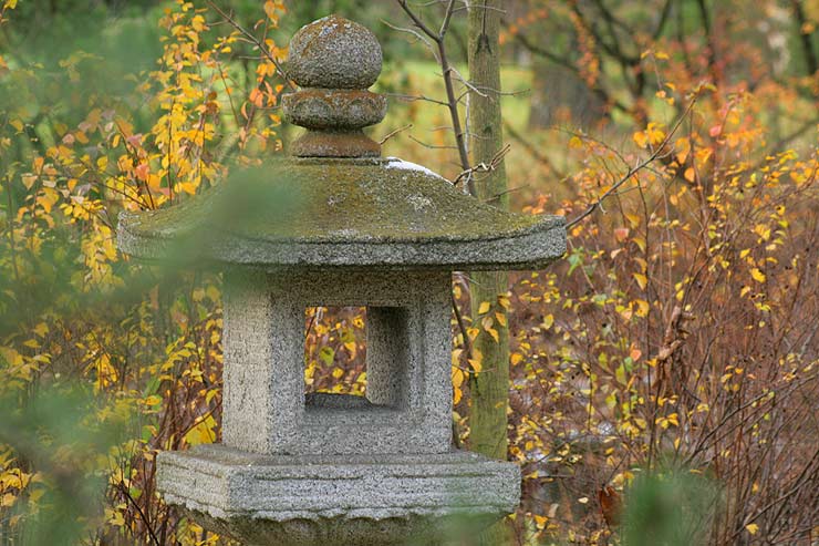 Японский сад Главного Ботанического Сада г. Москвы