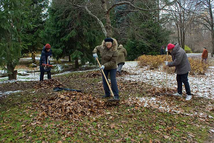 Помощь японскому саду