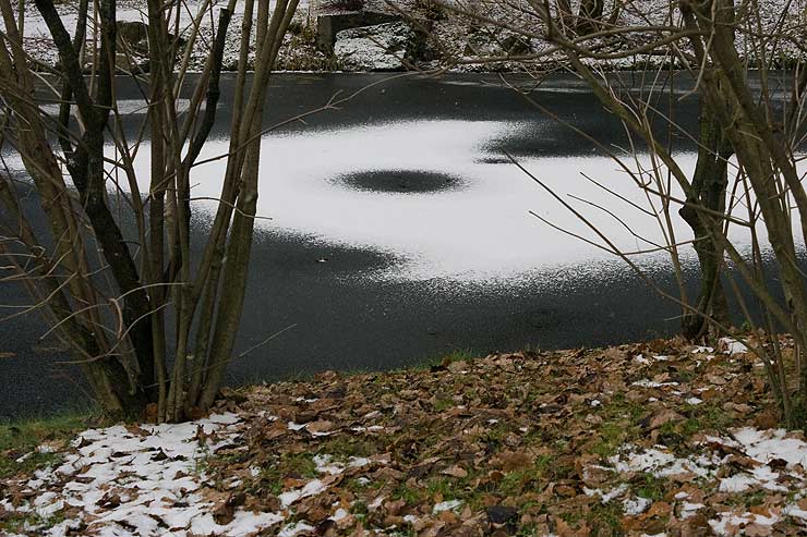Японский сад Главного Ботанического Сада г. Москвы