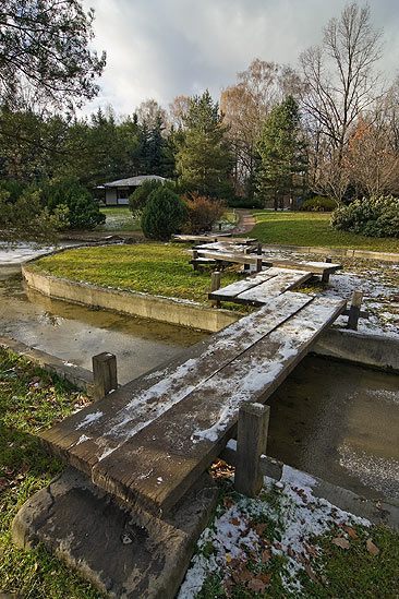 Японский сад Главного Ботанического Сада г. Москвы