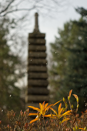 Японский сад Главного Ботанического Сада г. Москвы
