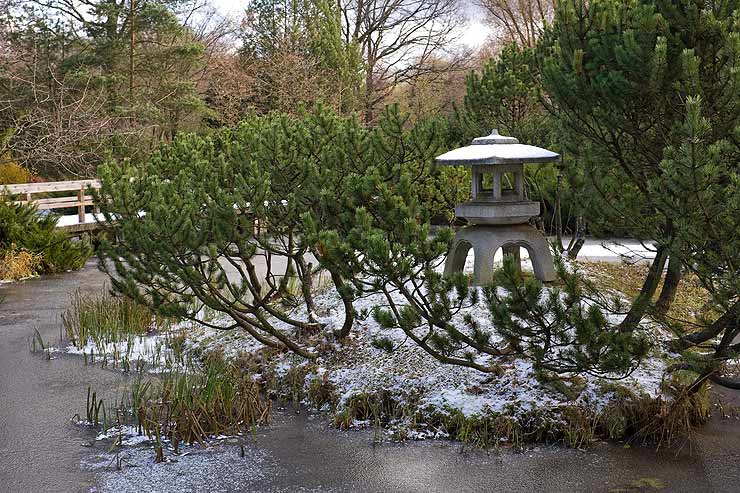 Японский сад Главного Ботанического Сада г. Москвы