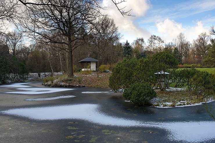 Японский сад Главного Ботанического Сада г. Москвы