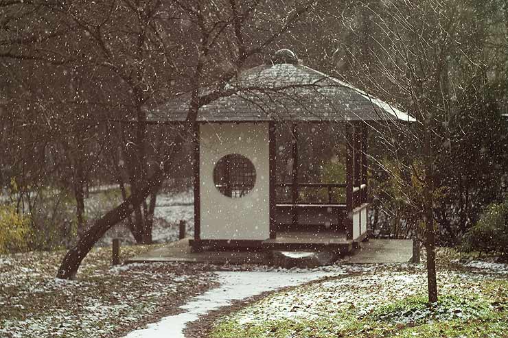 Японский сад Главного Ботанического Сада г. Москвы