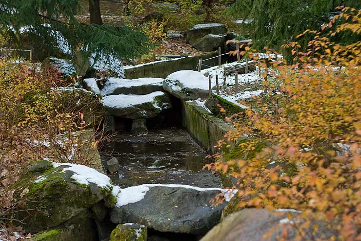 Японский сад Главного Ботанического Сада г. Москвы